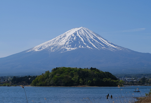 Mount Fuji Sightseeing