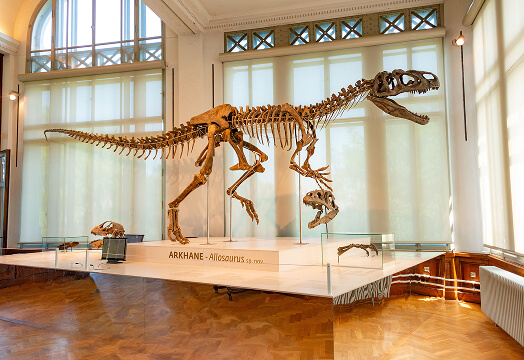 National museum of nature and science