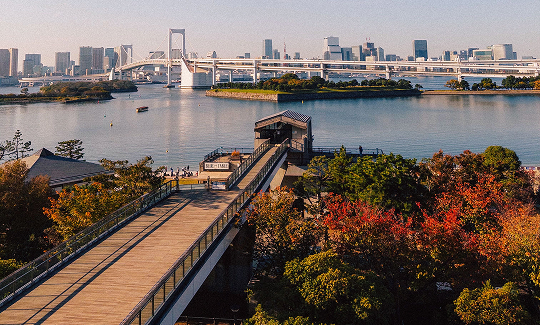 Autumn
